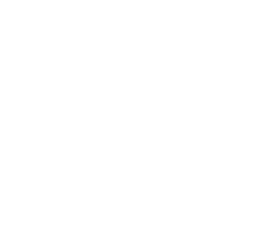 twitter logo