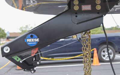 Reese Goosebox - Installed 2